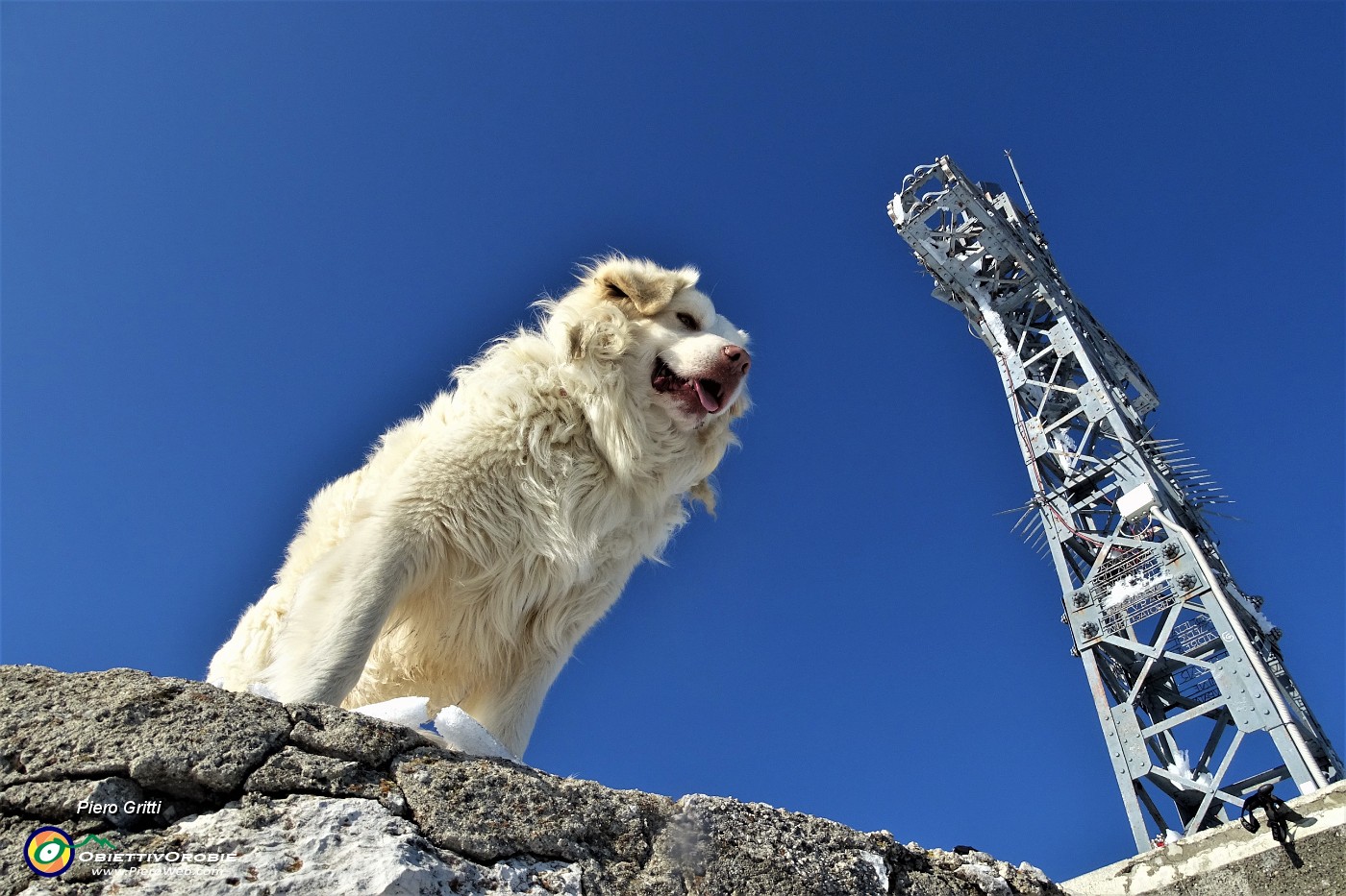 04 Taurus alla croce di vetta del Resegone (1875 m).JPG